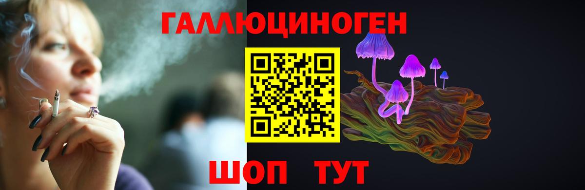 Новозыбков  Галлюциногенные грибы Cubensis  Вход с VPN 